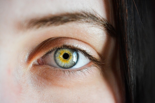 eye-2340806_640.jpg