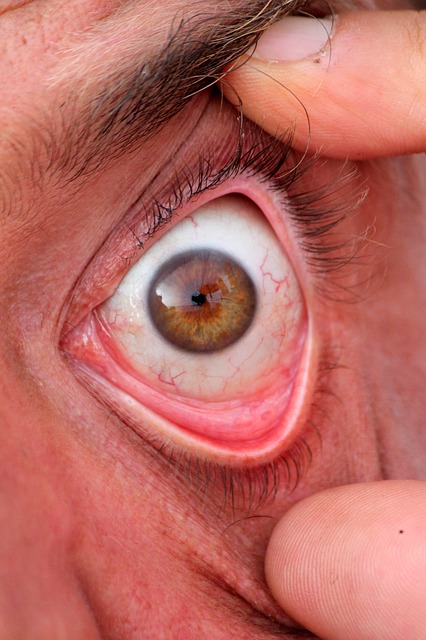eye-195053_640.jpg